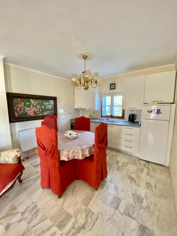 Kuchyň nebo kuchyňský kout v ubytování Ikidiki Beach Villa