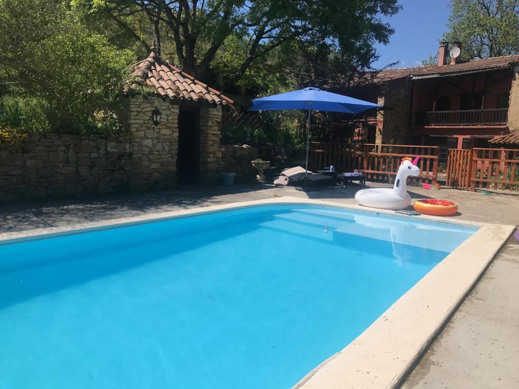 a swimming pool with a toy duck and an umbrella at Hameau de Montcabirol - Foix in Mirepoix