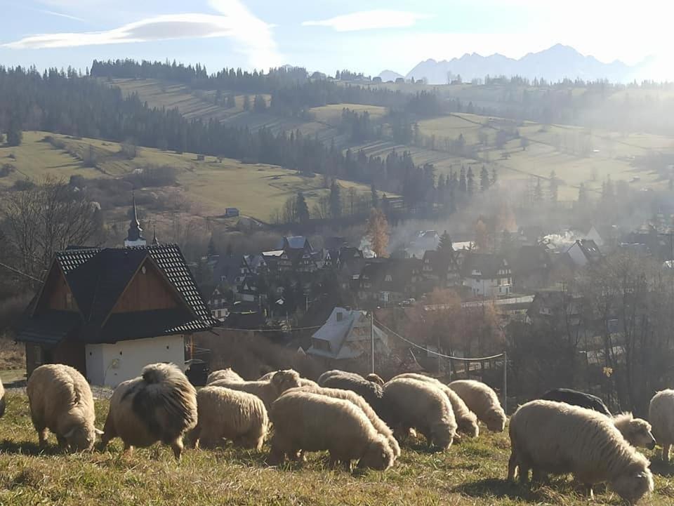 Príroda v okolí horskej chaty