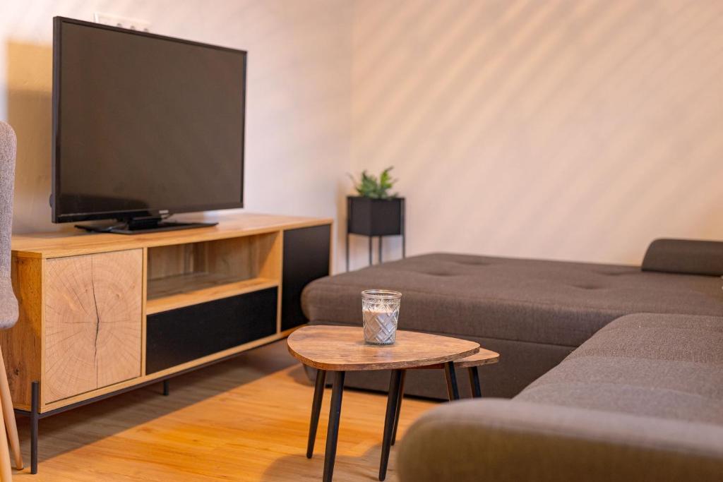 TV a/nebo společenská místnost v ubytování Ledererhof Lunz am See