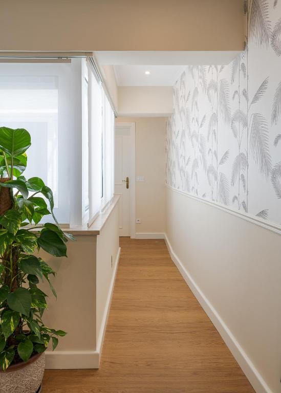 Peixeira Studios and Apartments - Квартира с одной спальней