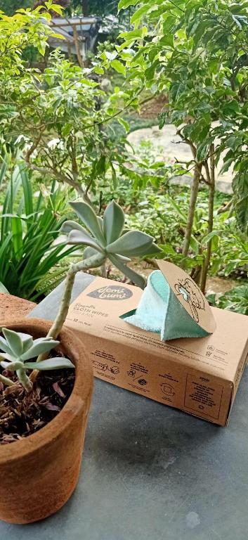 Zahrada ubytování Pondok Bamboo Sendangsari