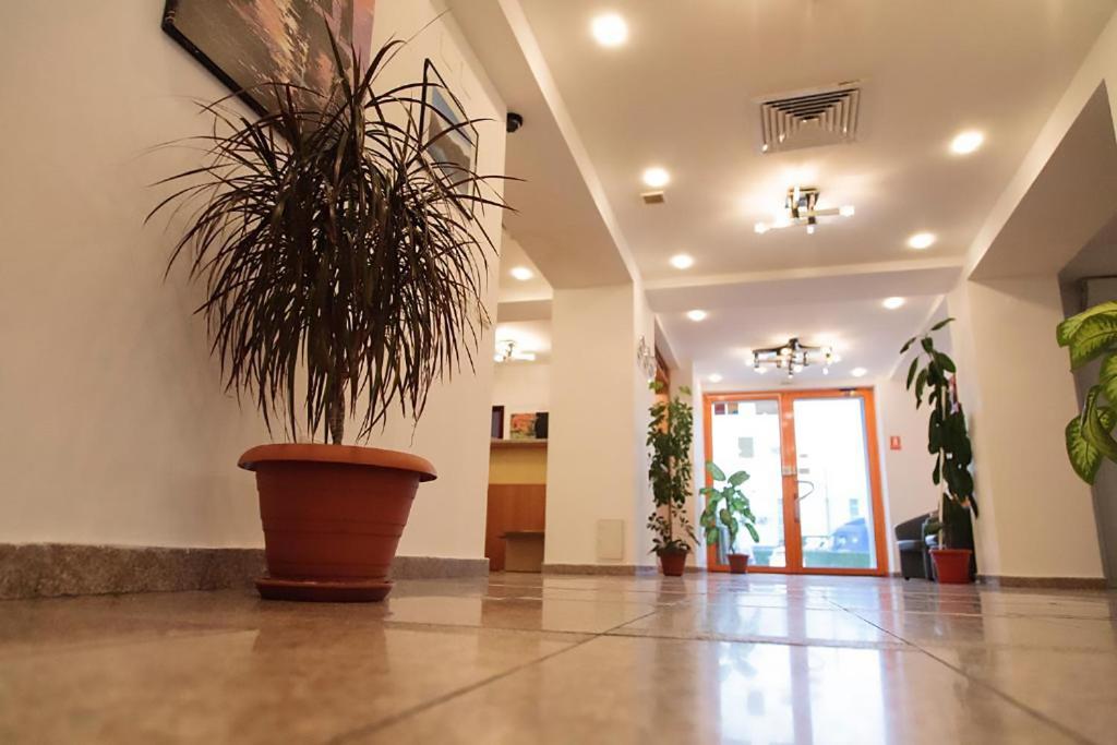 Vstupní hala nebo recepce v ubytování Plus Hotel