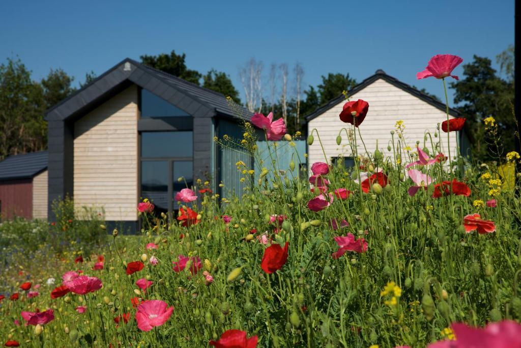 een bloemenveld voor een huis bij MANOAH- Häuser am See in Zeulenroda