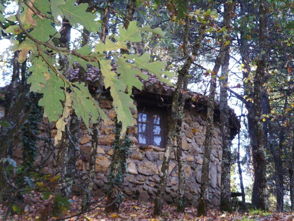 Arenas de San Pedro – Photos 1