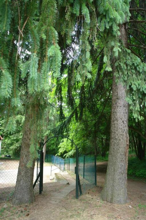 Fotografie z fotogalerie ubytování Forest gate Vendégház v destinaci Mátraszentimre