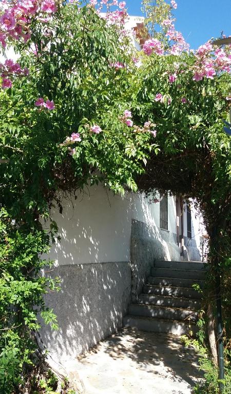 Zahrada ubytování Cortijo "Era Grande 1"