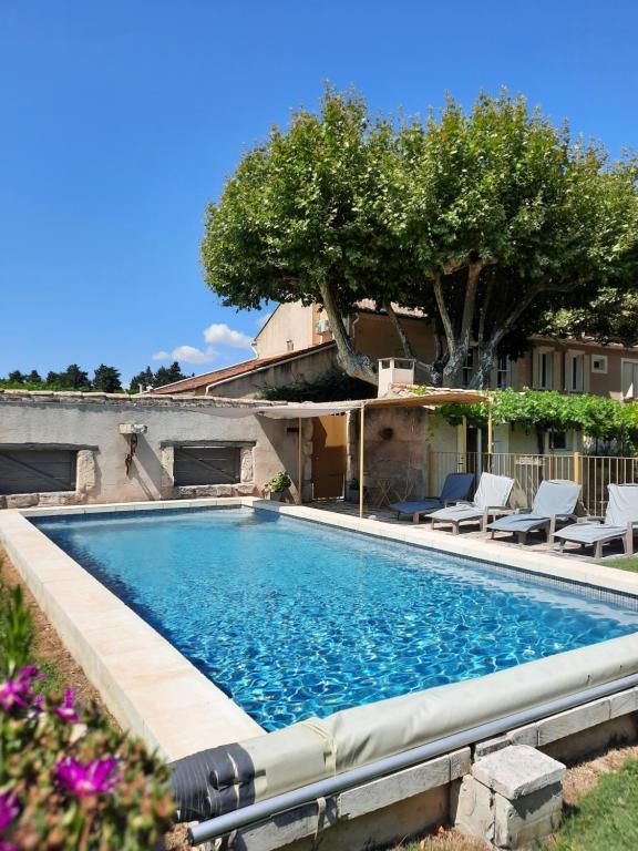 une grande piscine avec des chaises et un arbre dans l'établissement Gîte Les "FERRAGES", à Noves