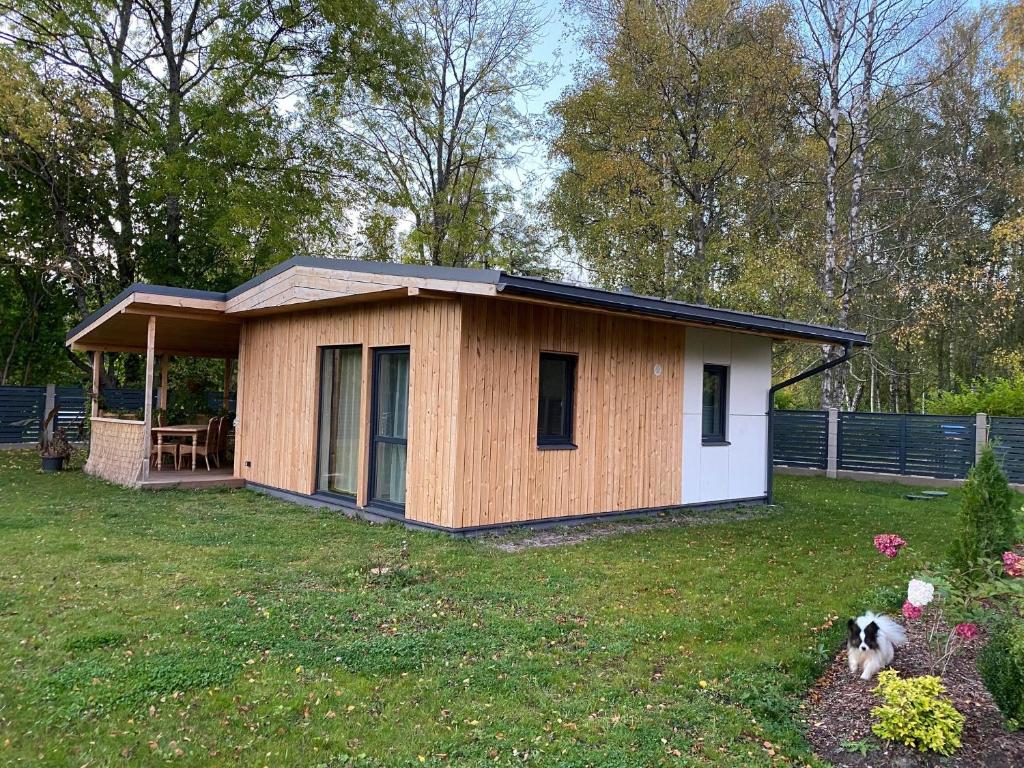 una pequeña casa con un perro en el patio en Vacation house, en Saulkrasti