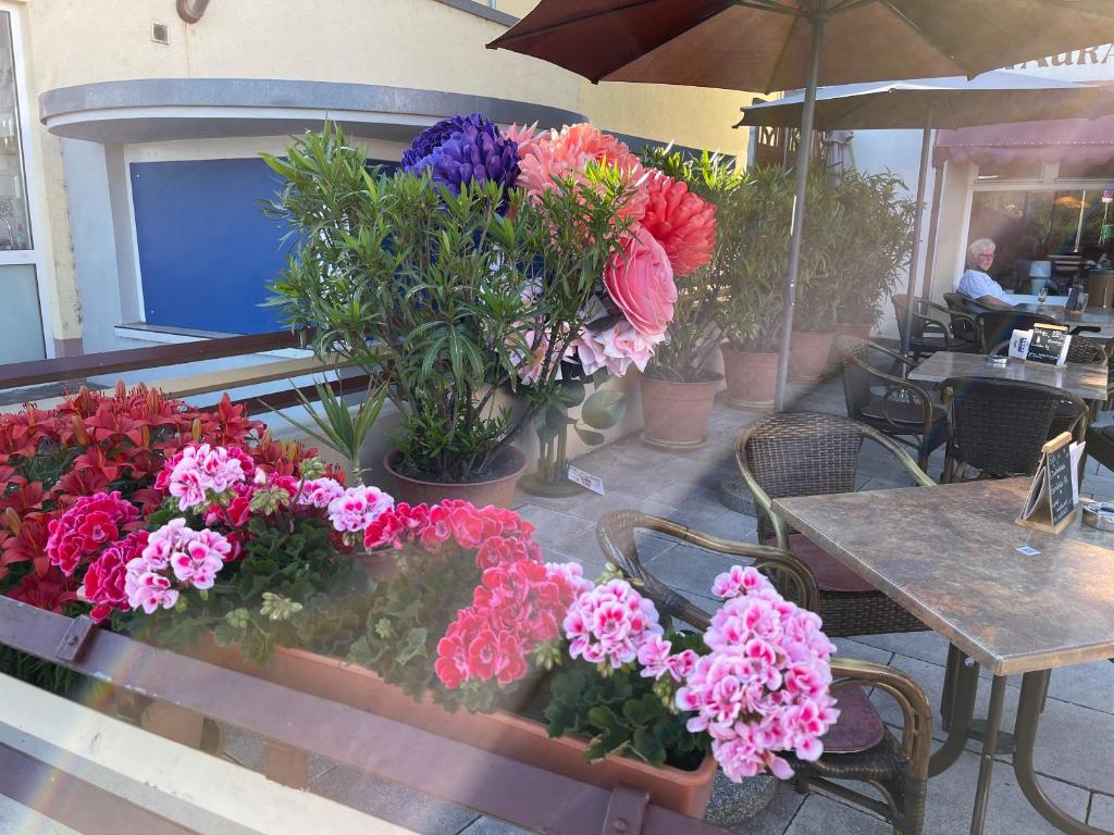 Zahrada ubytování Hotel Krone Rüdesheim