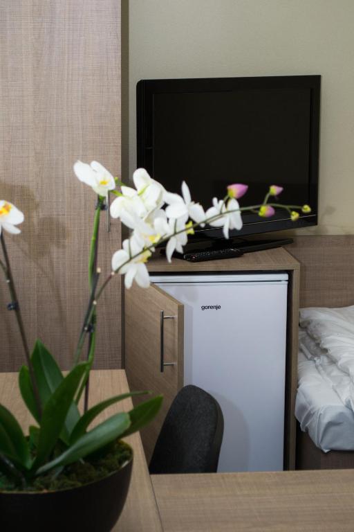 TV a/nebo společenská místnost v ubytování Penzion s wellness Uherské Hradiště