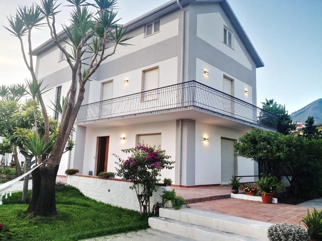 une maison blanche avec un arbre en face dans l'établissement B&B Villa dei Desideri, à Praia a Mare
