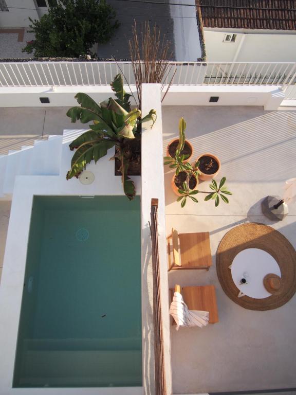 SUITES 9 MALAGA, three unique suites with private plunge pool في مالقة: اطلالة على مسبح على منزل