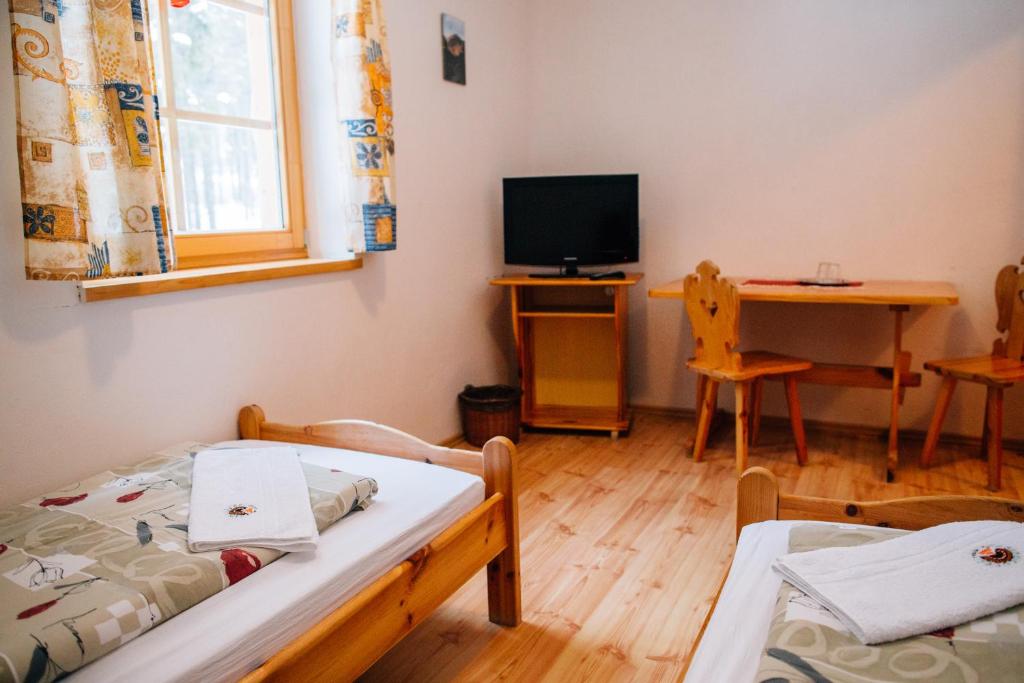 TV a/nebo společenská místnost v ubytování Penzion Sindlovec