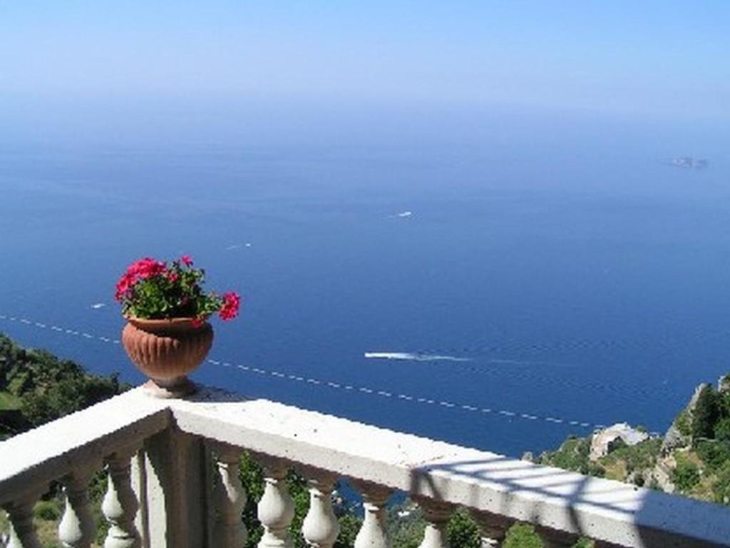 een vaas met bloemen op een balkon met uitzicht op de oceaan bij Holiday Home Path of the Gods by Interhome in Vettica Maggiore