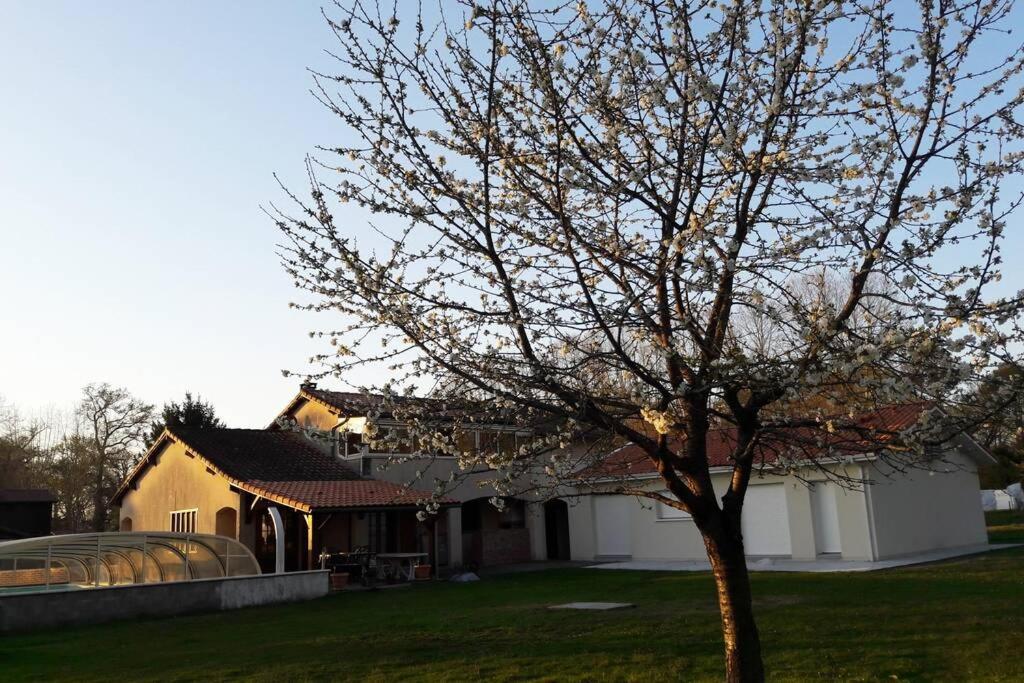 een boom in een tuin voor een huis bij Maison équipée balnéothérapie et salle de sport in Saint-Avit