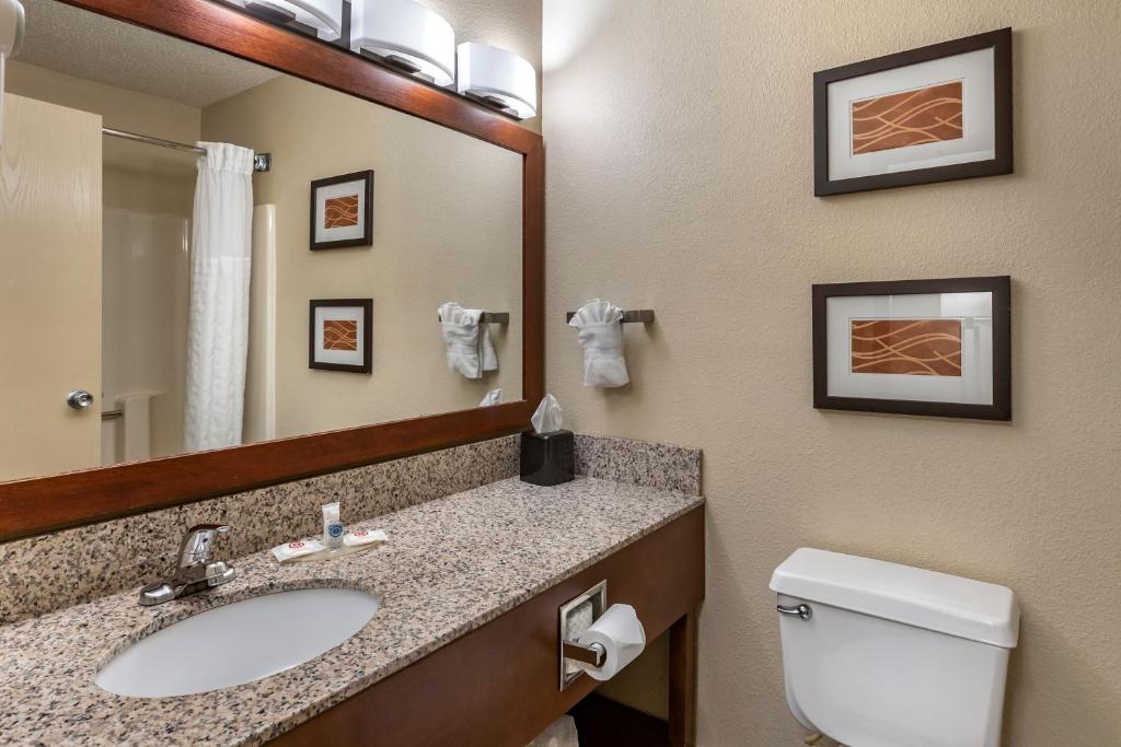 Koupelna v ubytování Comfort Inn Moline - Quad Cities