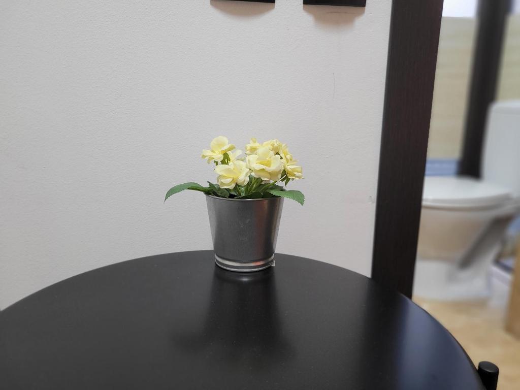 Fotografie z fotogalerie ubytování MAG Motel v Bukurešti