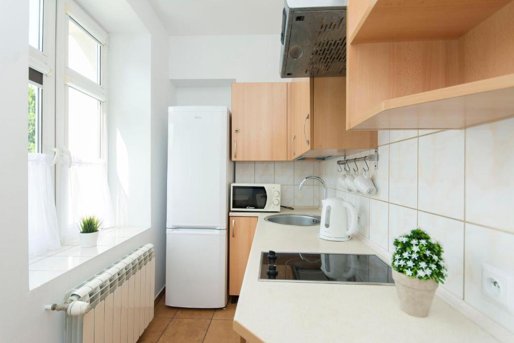 Kuchyň nebo kuchyňský kout v ubytování Akademikus Toruń