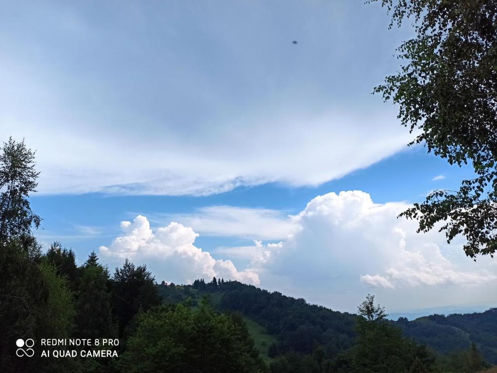 Paesaggio naturale nelle vicinanze della casa vacanze