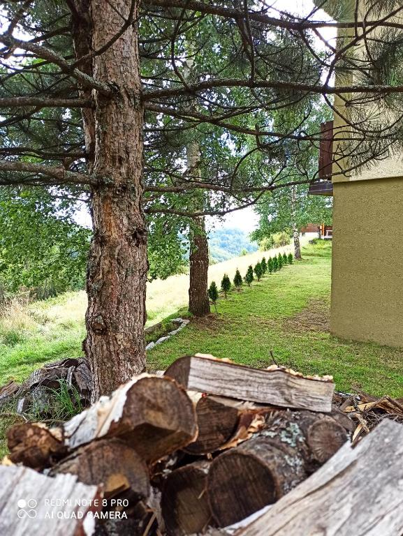 Giardino di Vikendica Kop