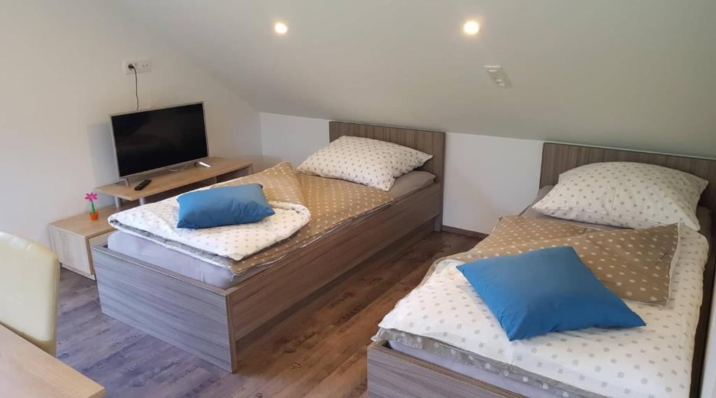 2 aparte bedden in een kamer met een televisie bij Apartma Cifra Begunje in Begunje na Gorenjskem