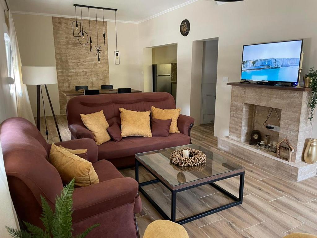 a living room with two couches and a fireplace at Apartman EVA in Bajina Bašta