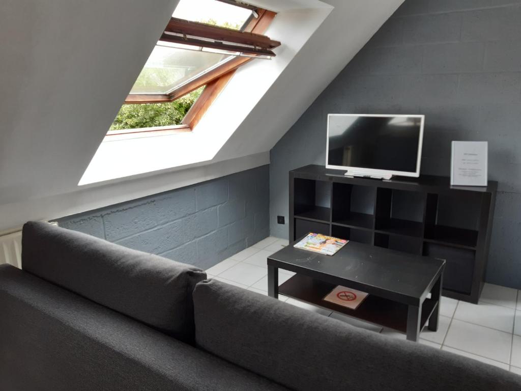 a living room with a couch and a tv at Résidences De Champles in Bierges