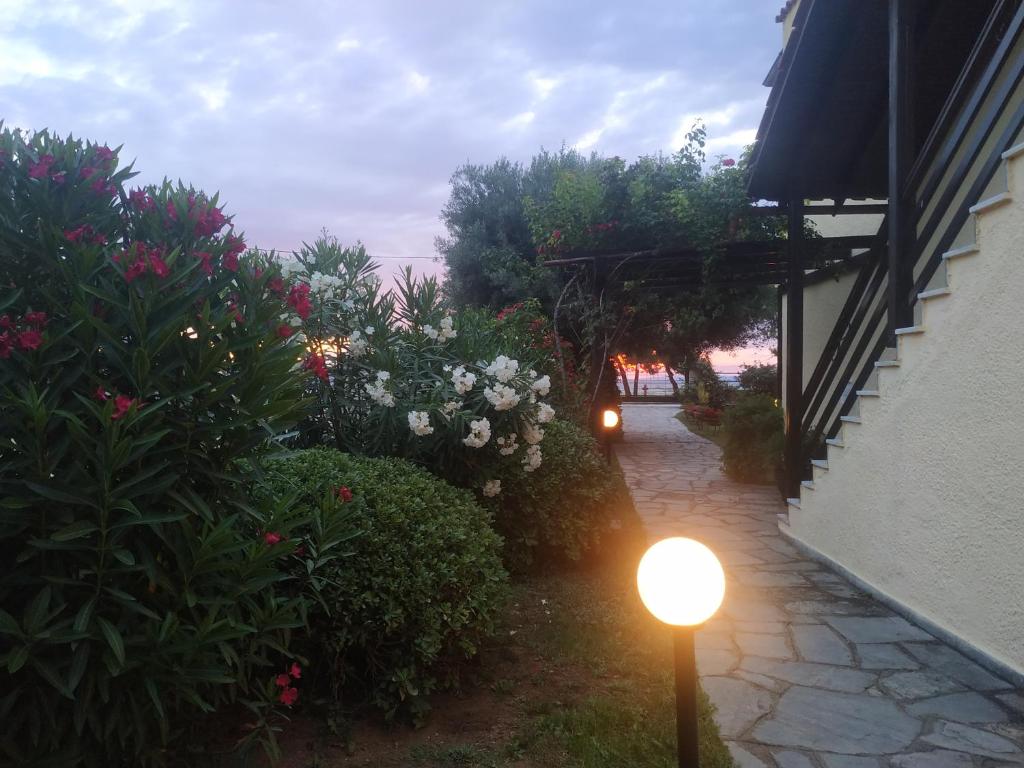 Zahrada ubytování Studios Galanis