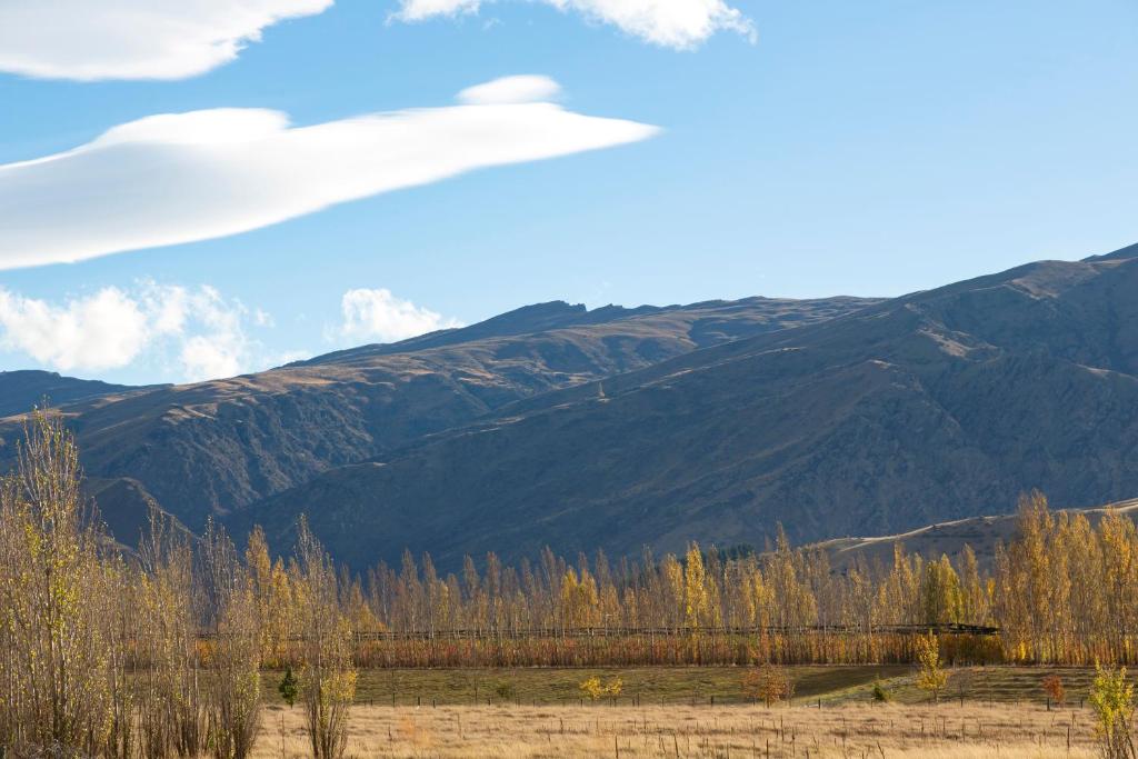 Harvest Park Studios Accommodation - Resim 16