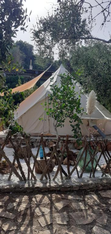 Příroda nedaleko luxury tent