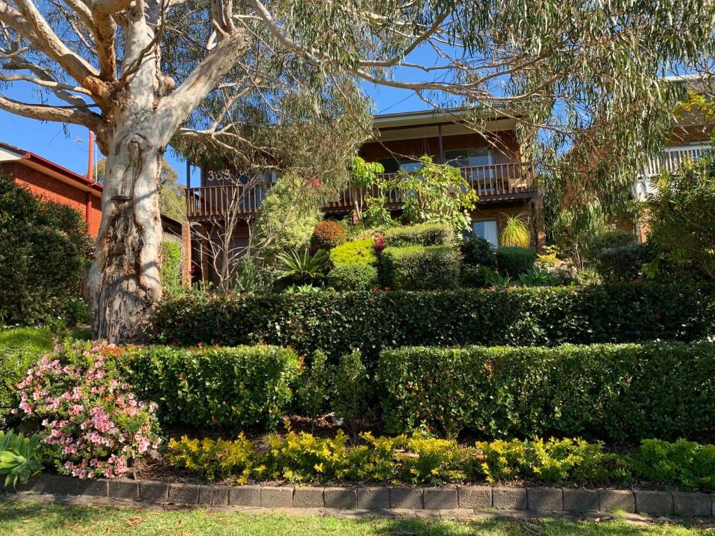 a garden in front of a building with bushes and flowers at Alva Lee by Experience Jervis Bay in Vincentia