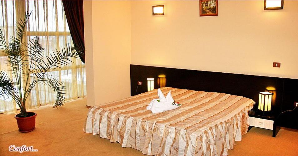 Hotel Palace - Quarto Da Família