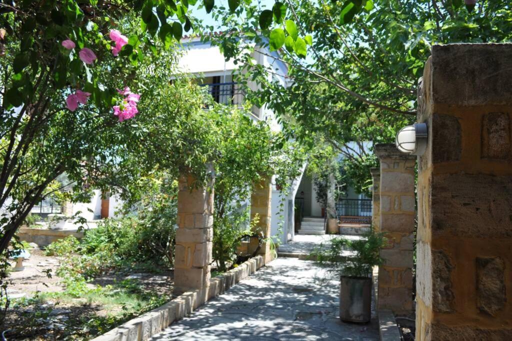 a garden with trees and pink flowers and a building at Κέντρο Αίγινα ήσυχη κατοικία90τμ δίπλα στη θάλασσα in Aegina Town
