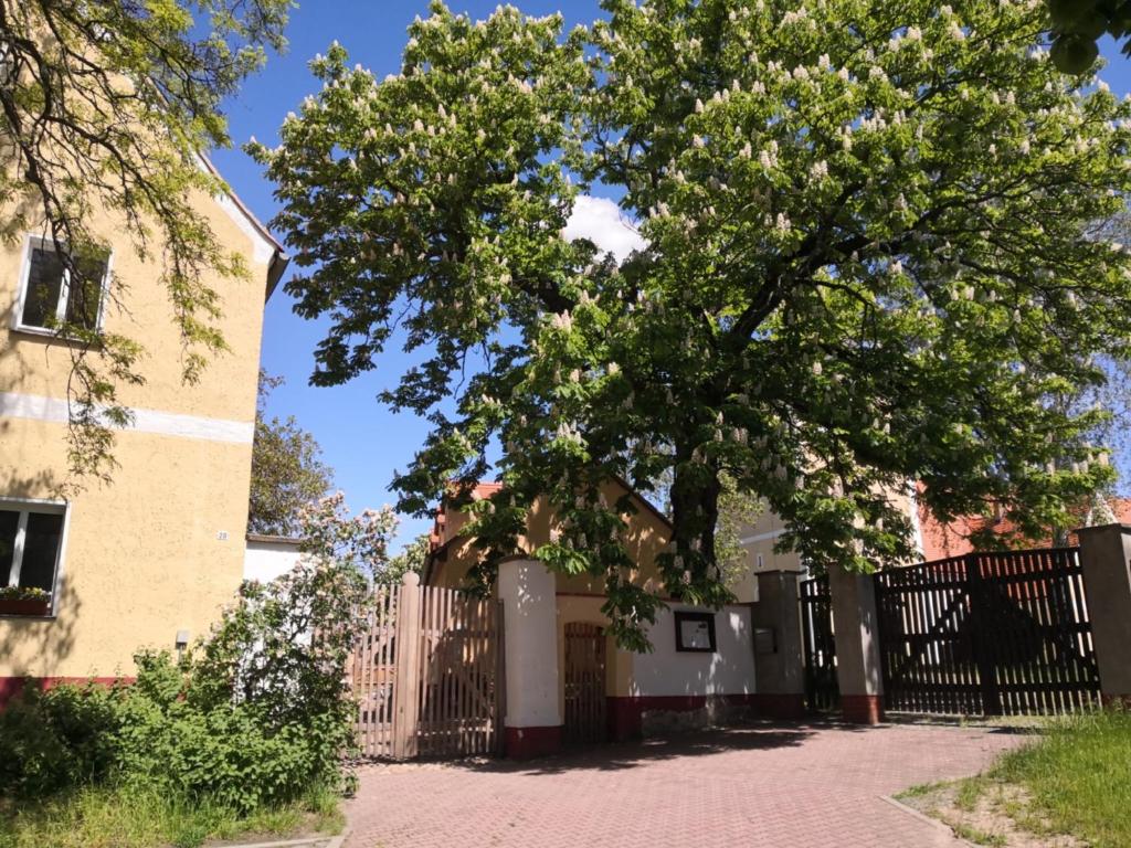 a fence with a tree in front of a house at Gästehaus Liemehna in Liemehna