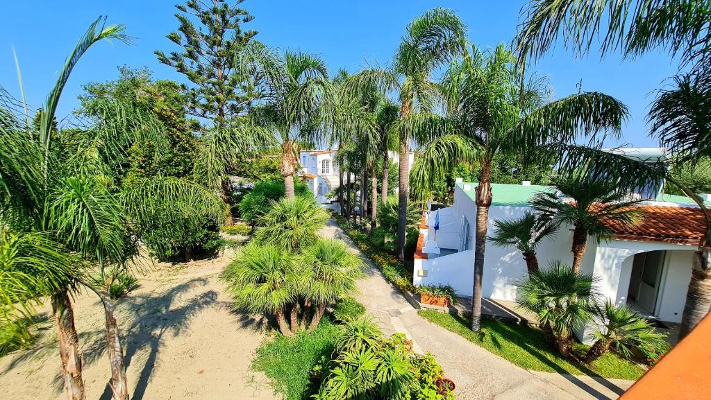 - une vue aérienne sur une cour bordée de palmiers dans l'établissement Cocos Park Ischia, à Ischia