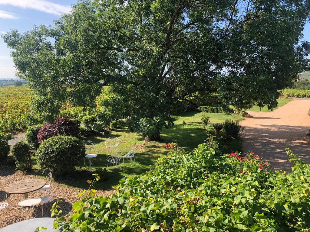 a garden with tables and chairs and a tree at La Gatille in Villié-Morgon