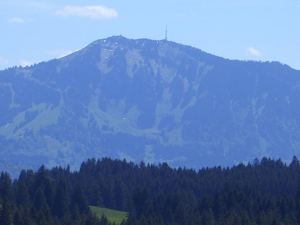 a mountain with trees in front of it at Gästehaus Rimmel in Immenstadt im Allgäu