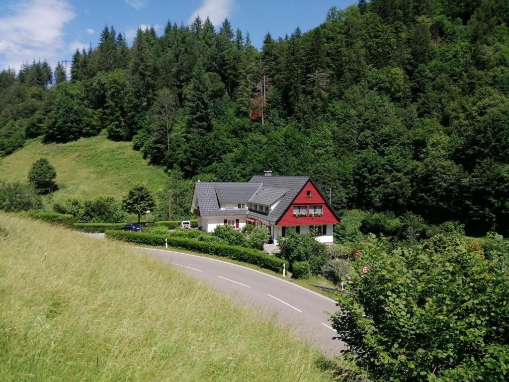 オッペナウにあるIdyllic holiday home in a mansion with garden in the beautiful Black Forestの道路脇の家