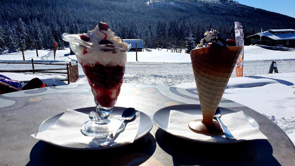 Horský hotel Kolínská bouda v zimě