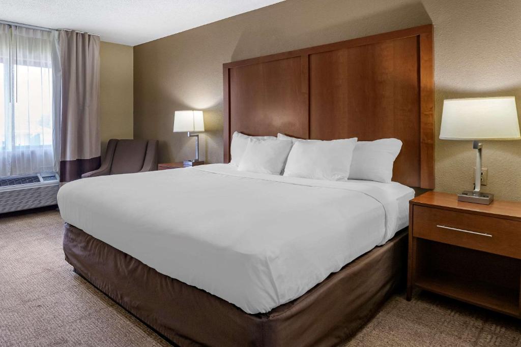 Postel nebo postele na pokoji v ubytování Comfort Inn Moline - Quad Cities