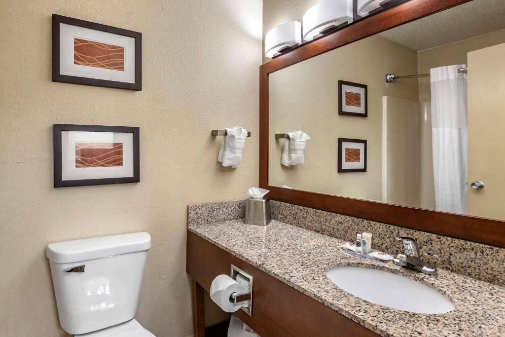 Koupelna v ubytování Comfort Inn Moline - Quad Cities