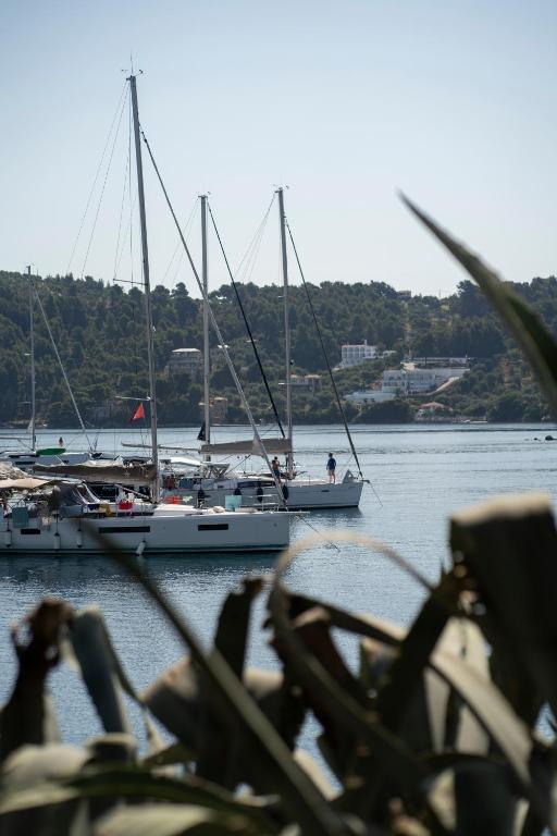 Táj Show holiday homes közelében