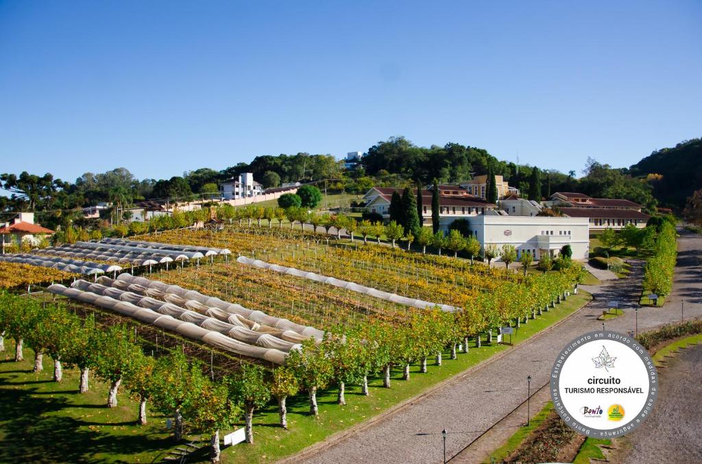 an overview of a vineyard with rows of vines at Hotel Villa Michelon in Bento Gonçalves