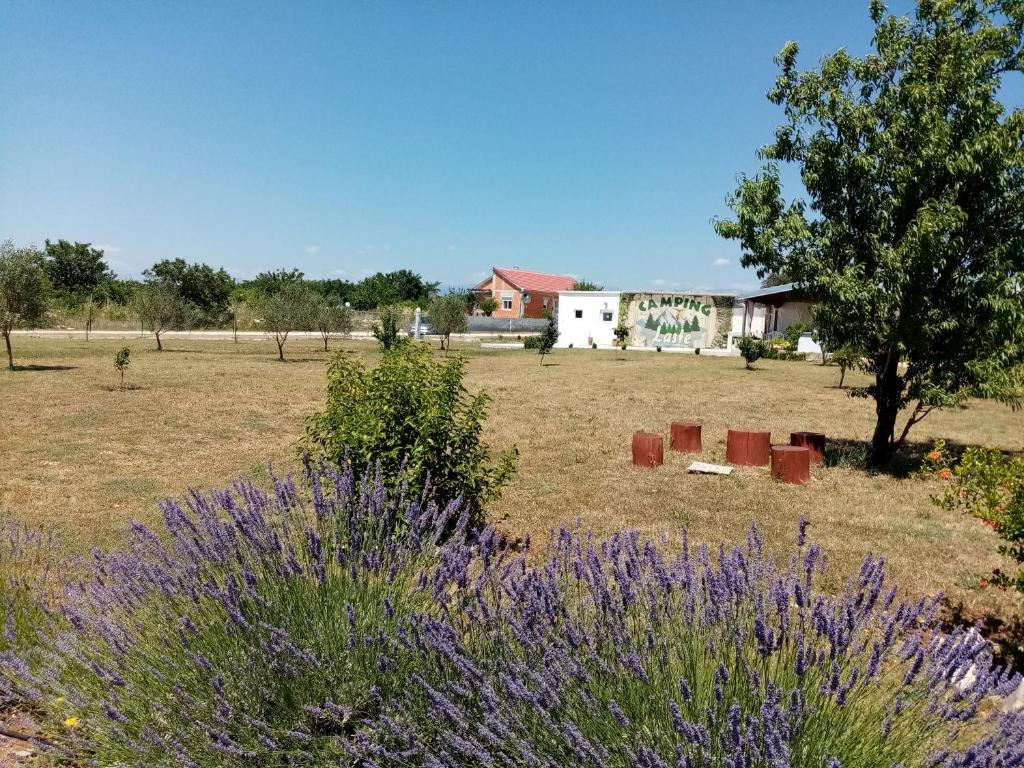 Zahrada ubytování CAMPING LASTE