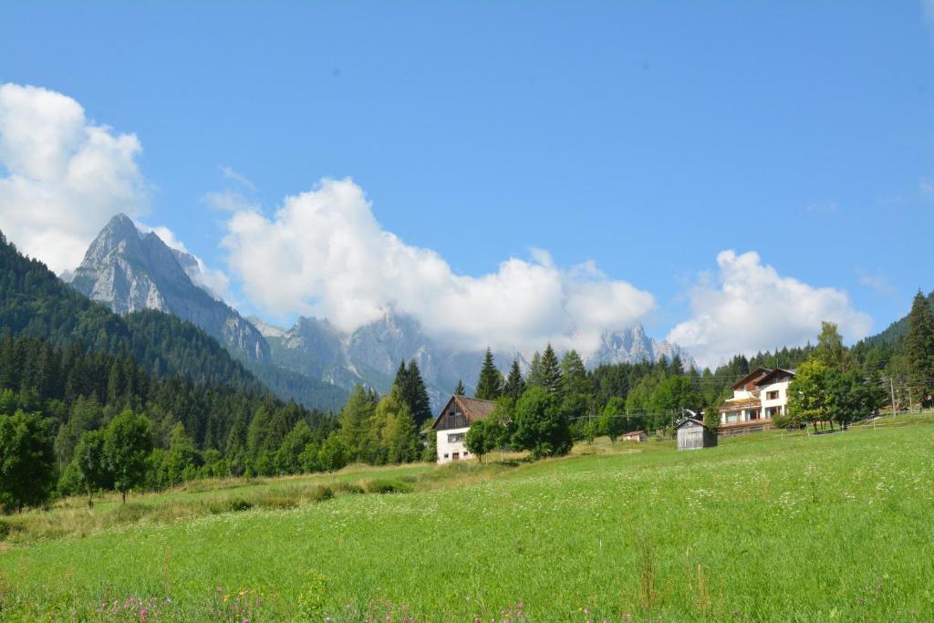 un campo verde con casas y montañas en el fondo en Albergo Miravalle, en Forni Avoltri