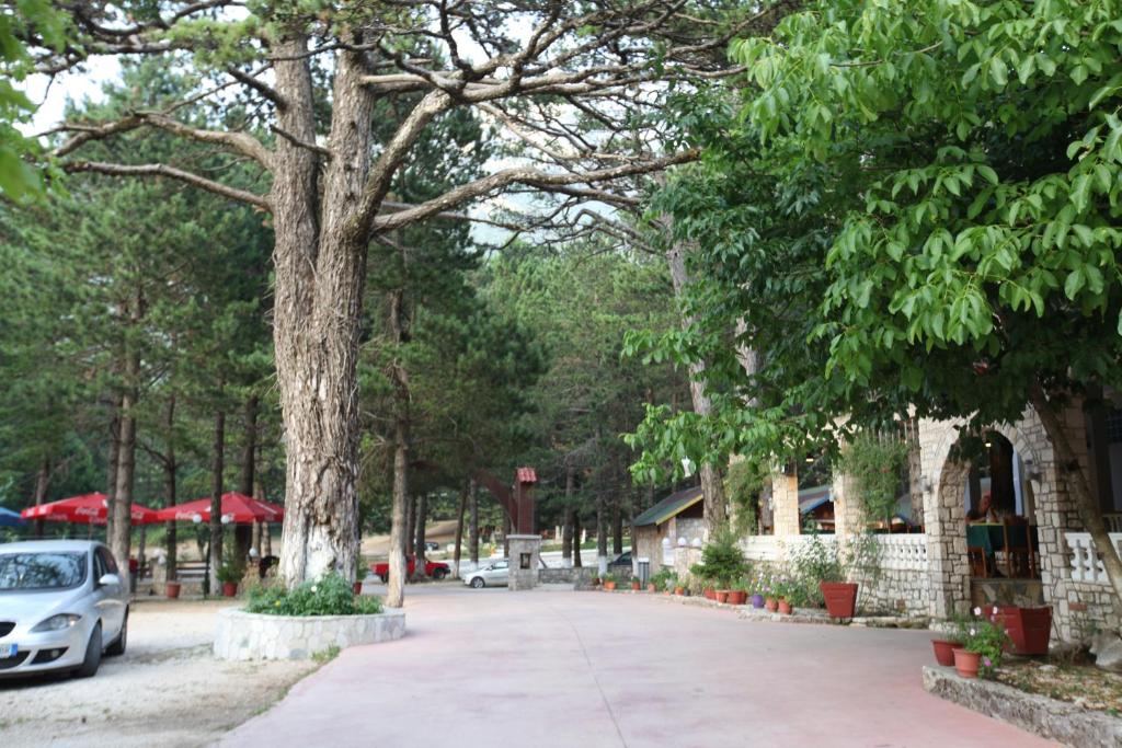 Hamiti Camping Center - Image 5