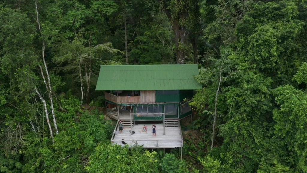 a building with a green roof in the middle of a forest at Punta Brava in Nuquí