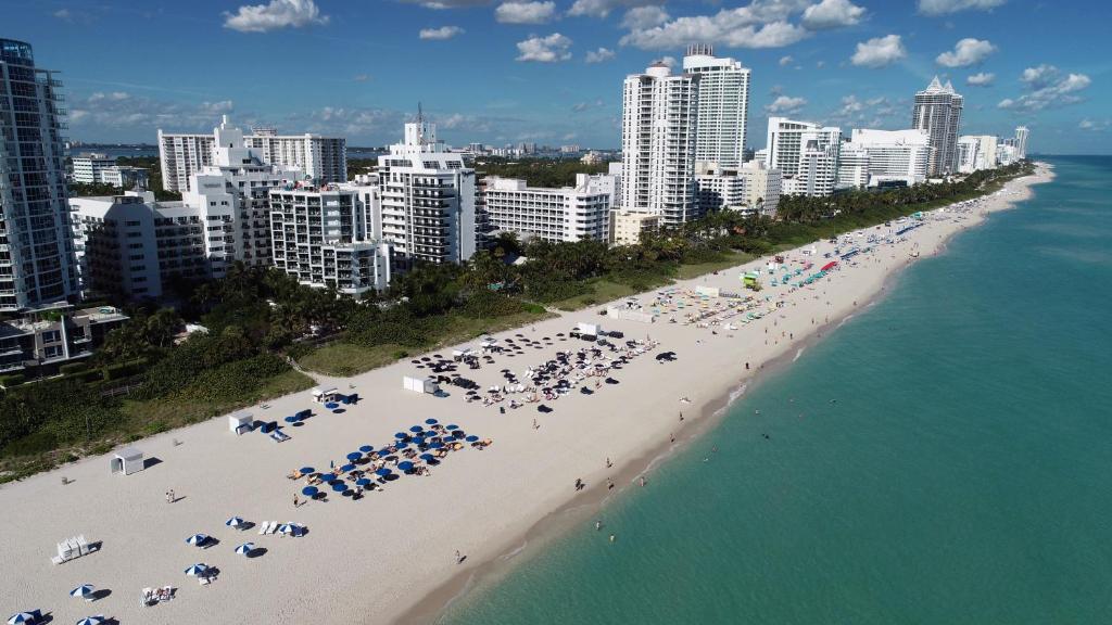 Things to do in Miami Beach, Beyond Circa 39