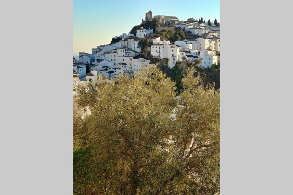 Fotografie z fotogalerie ubytování Casa Mariposa v destinaci Casares